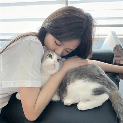 说得好，小猫咪！